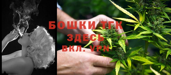 мяу мяу мука Алексеевка
