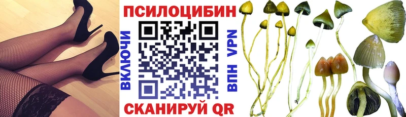 Псилоцибиновые грибы ЛСД как найти наркотики Майкоп